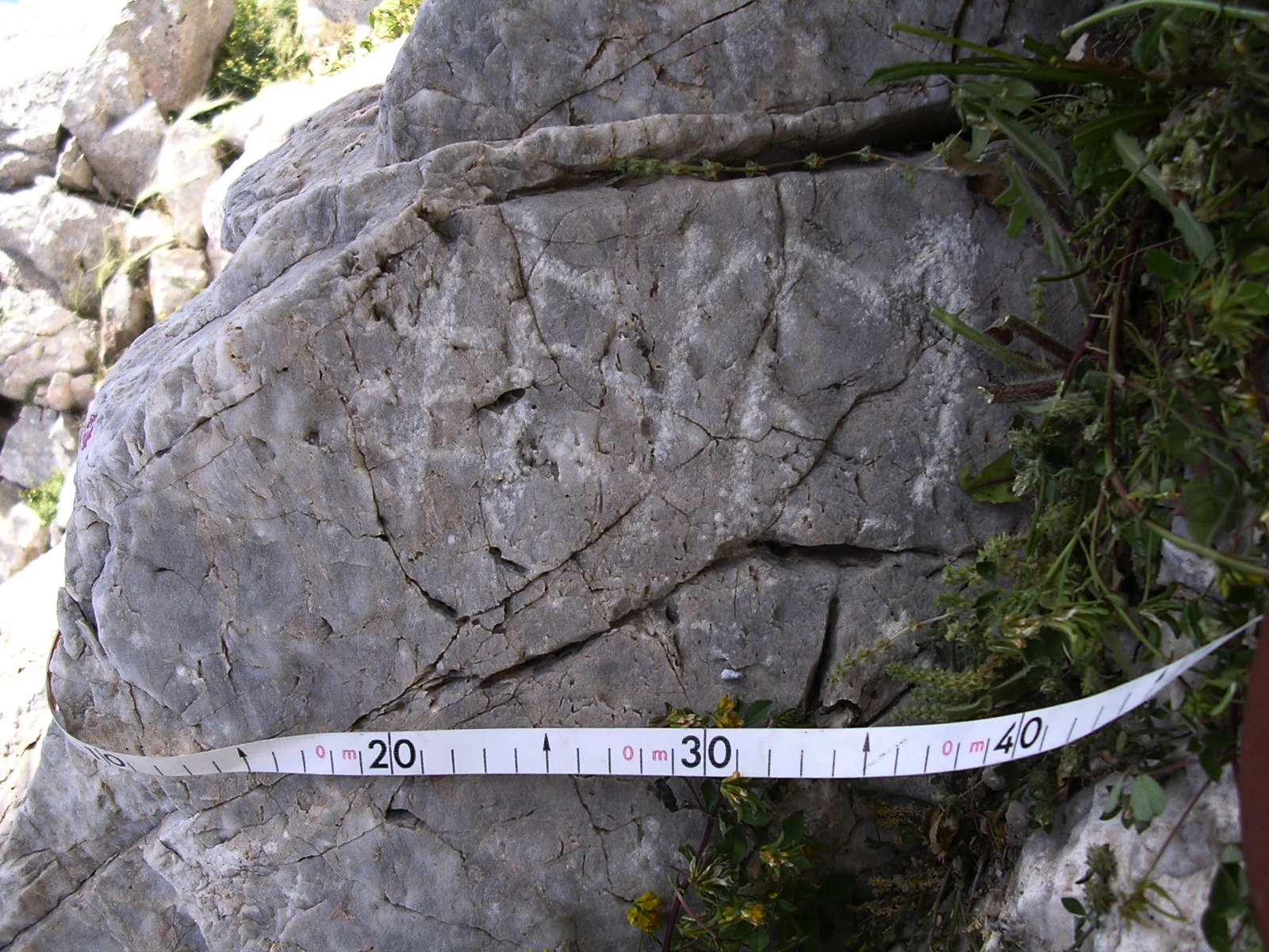 ThERA – Theran Epigraphic Rubbings Archive